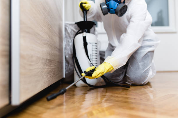 Best Pest Control Near Me  in Corcoran, CA