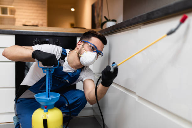 Best Termite Control Services  in Corcoran, CA