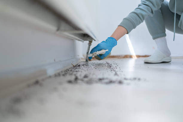 Best Wildlife Control Services  in Corcoran, CA