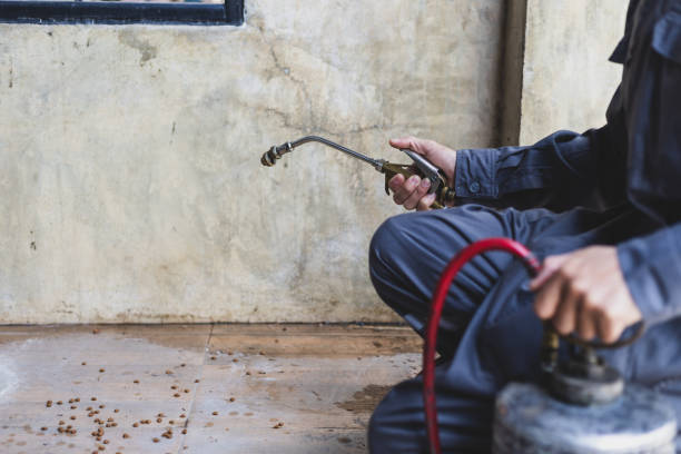 Best Emergency Pest Control  in Corcoran, CA